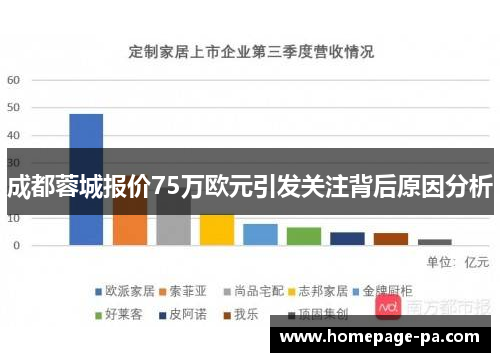 成都蓉城报价75万欧元引发关注背后原因分析 成都蓉城报价75万欧元引发关注背后原因分析