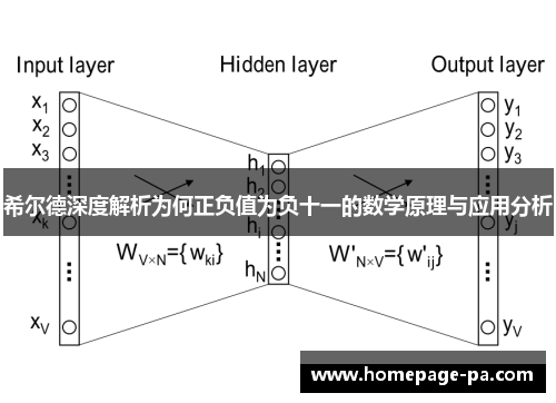 希尔德深度解析为何正负值为负十一的数学原理与应用分析