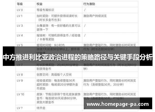 中方推进利比亚政治进程的策略路径与关键手段分析 中方推进利比亚政治进程的策略路径与关键手段分析