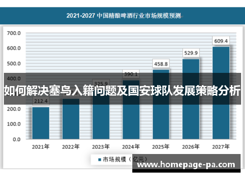 如何解决塞鸟入籍问题及国安球队发展策略分析