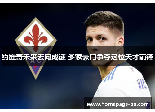 约维奇未来去向成谜 多家豪门争夺这位天才前锋