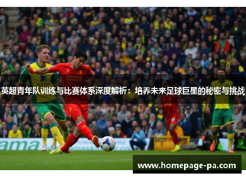 英超青年队训练与比赛体系深度解析：培养未来足球巨星的秘密与挑战