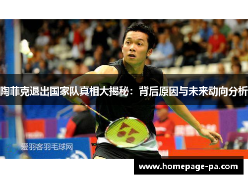 陶菲克退出国家队真相大揭秘：背后原因与未来动向分析