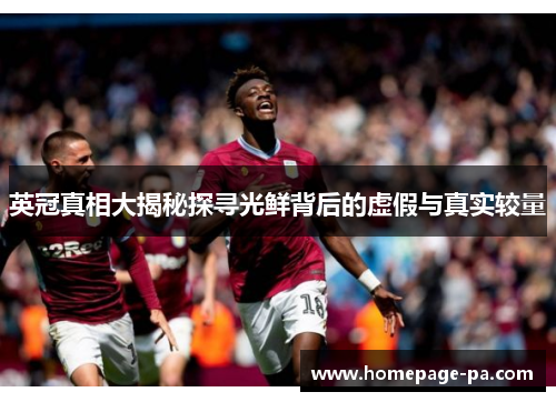 英冠真相大揭秘探寻光鲜背后的虚假与真实较量