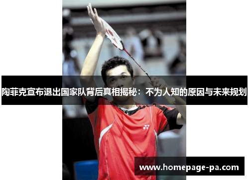 陶菲克宣布退出国家队背后真相揭秘：不为人知的原因与未来规划