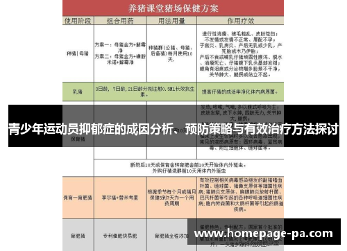 青少年运动员抑郁症的成因分析、预防策略与有效治疗方法探讨